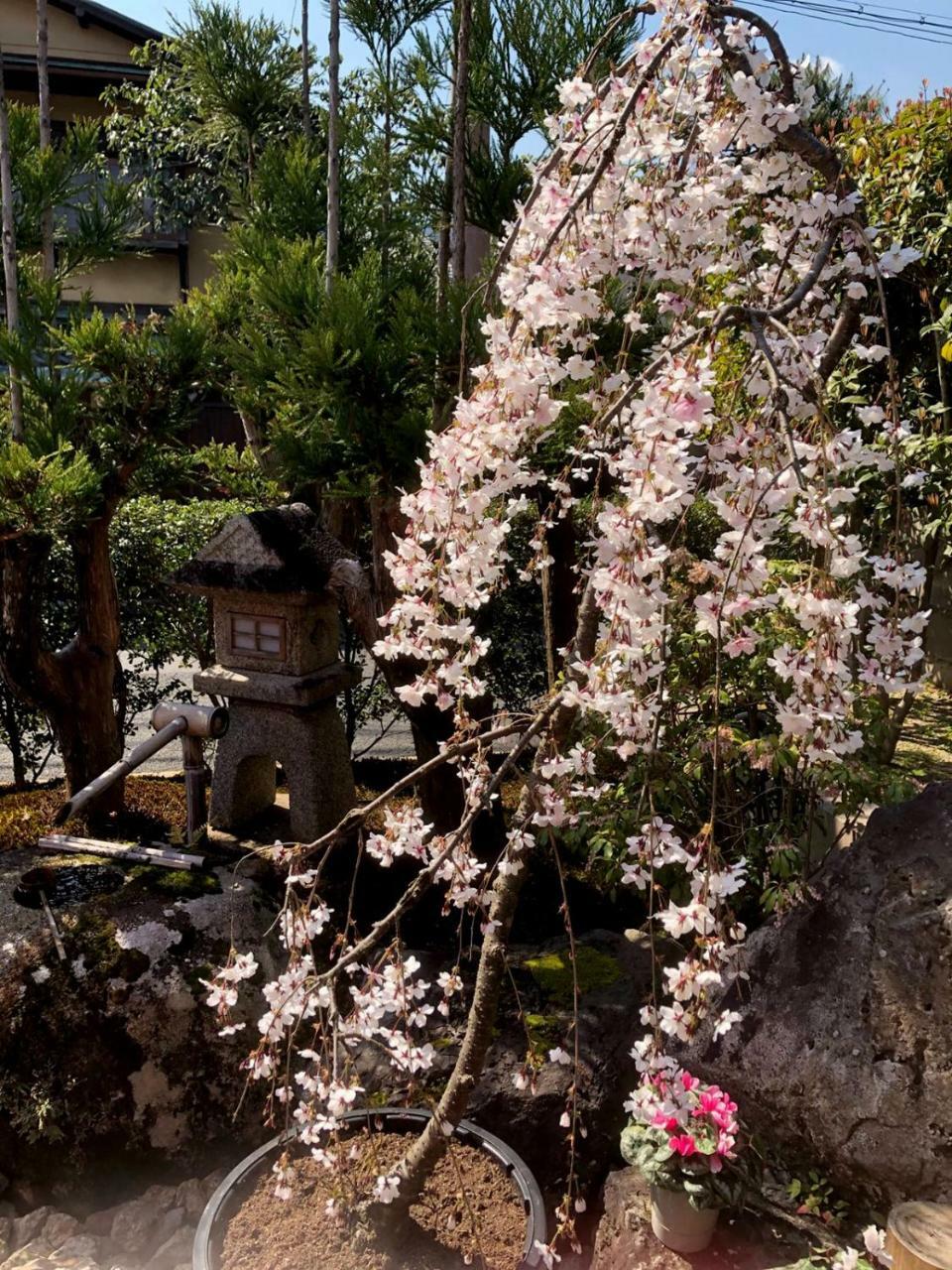 Hostel Kyoto Arashiyama Muko Exterior foto
